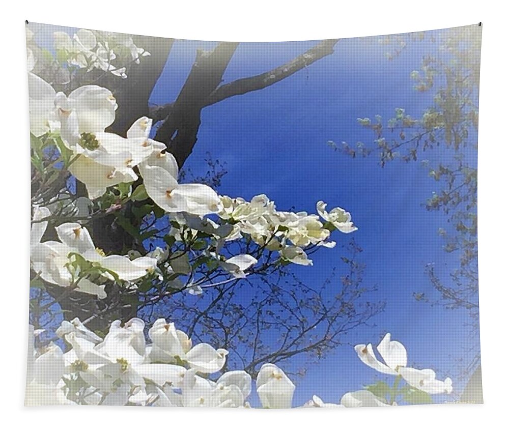Dogwood Tapestry featuring the photograph Purity of Dogwood by Angela Davies