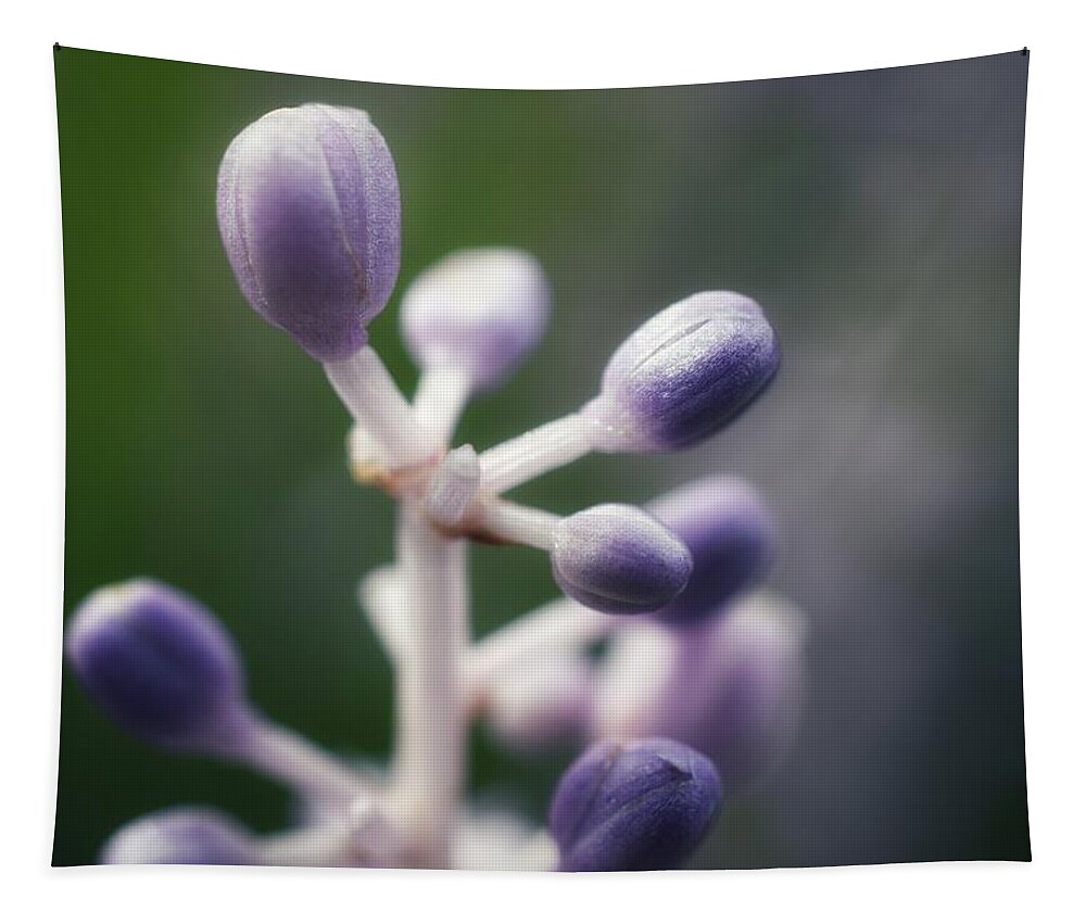Photo Tapestry featuring the photograph Purple Buds by Evan Foster