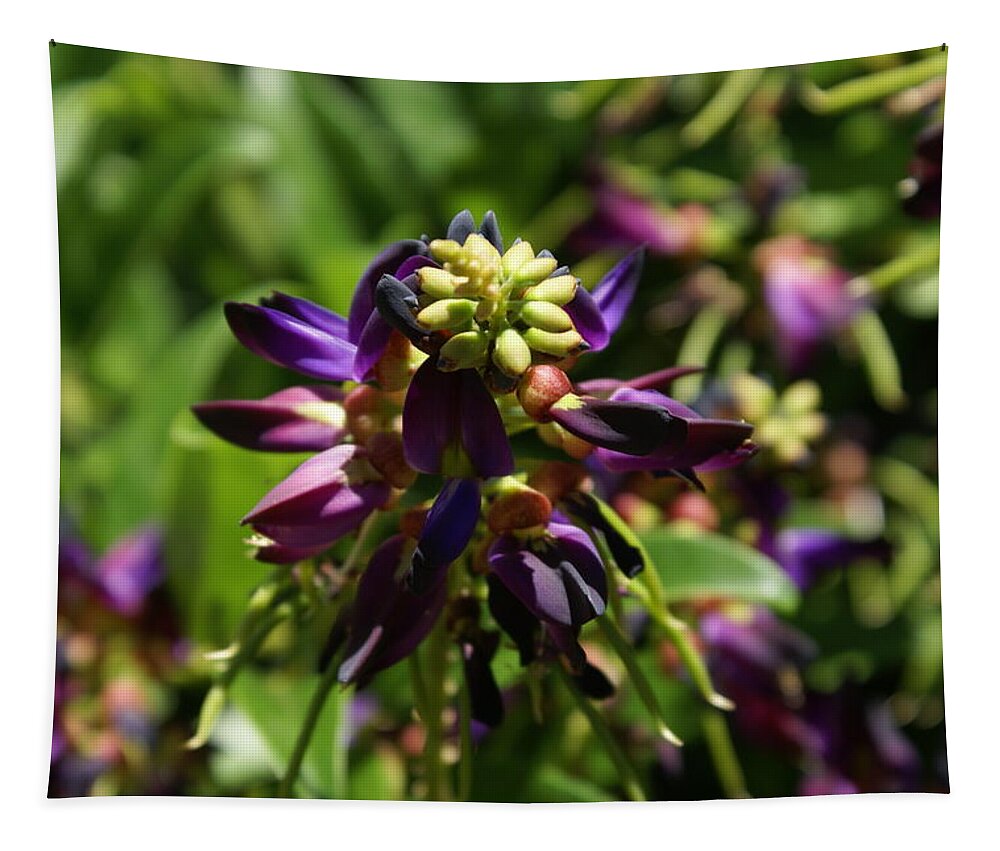 Flower Tapestry featuring the photograph Purple Buds by Heather E Harman