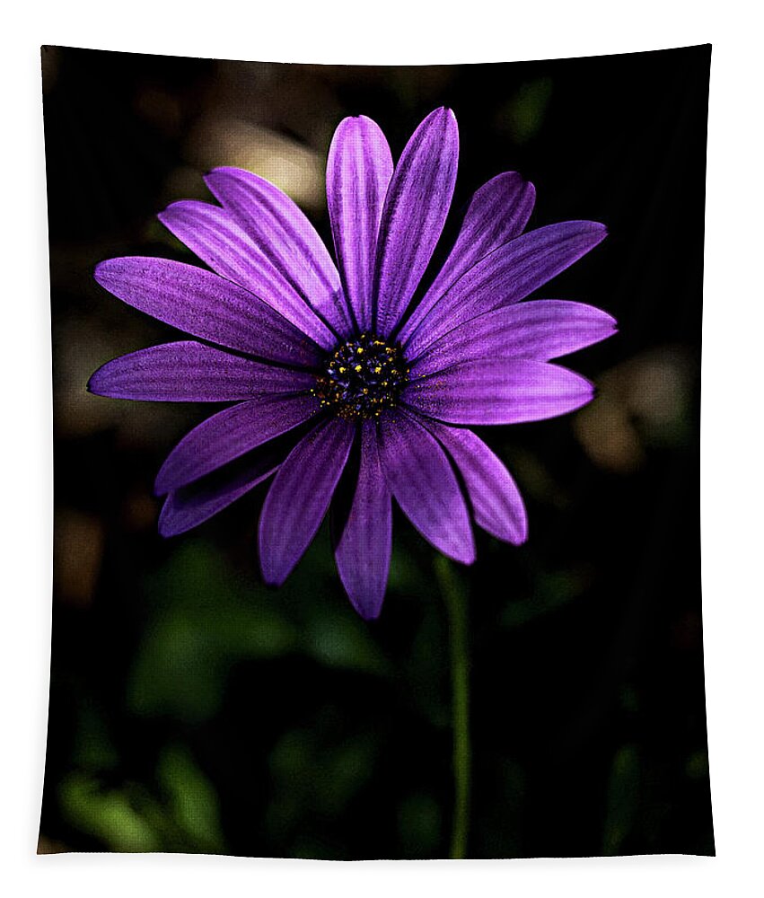 Purple Daisy Tapestry featuring the photograph Purple daisy #3 by Al Fio Bonina