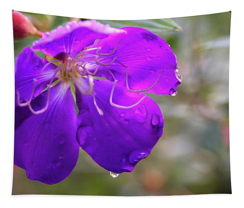 Purple Flower Tapestry featuring the photograph Purple Flower by Mingming Jiang