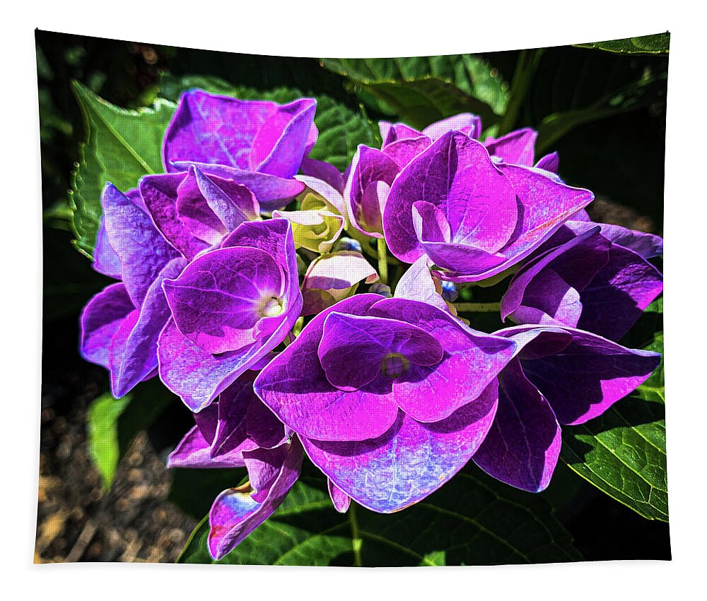 Floral Tapestry featuring the photograph Purple flowers by Jim Feldman