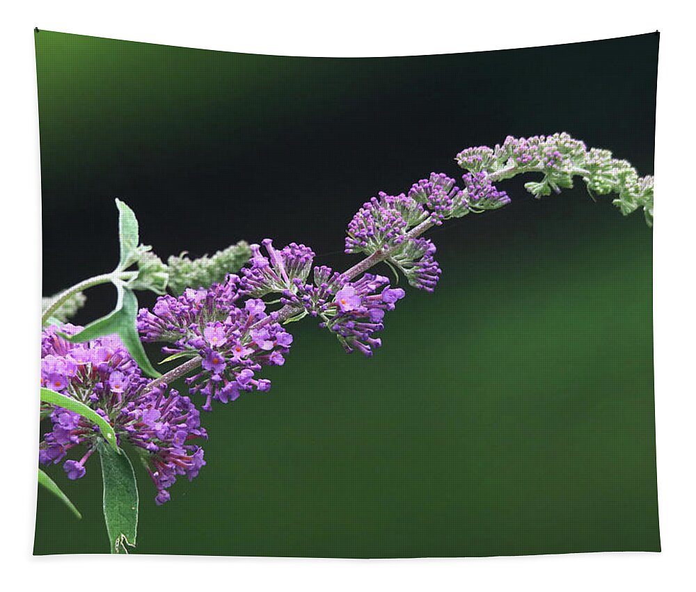 Flowers Tapestry featuring the photograph Purple Flowers of a Butterfly Bush by Trina Ansel