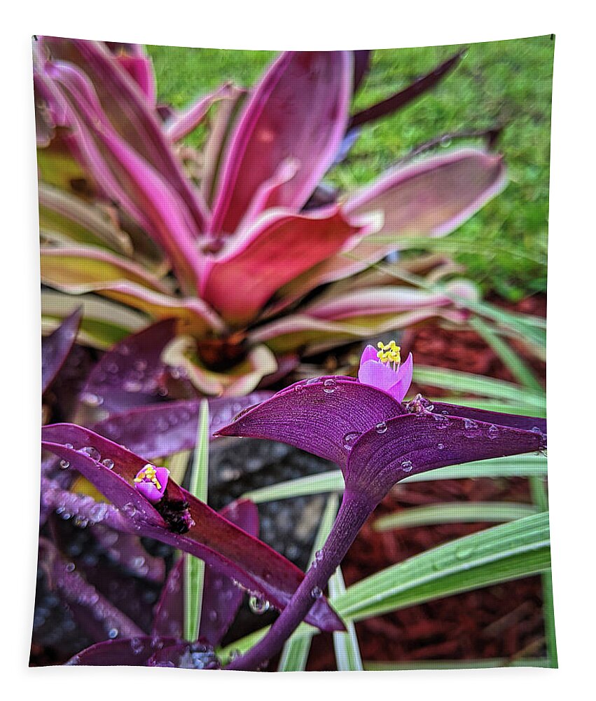 Flower Tapestry featuring the photograph Purple Heart Morning Dew by Portia Olaughlin