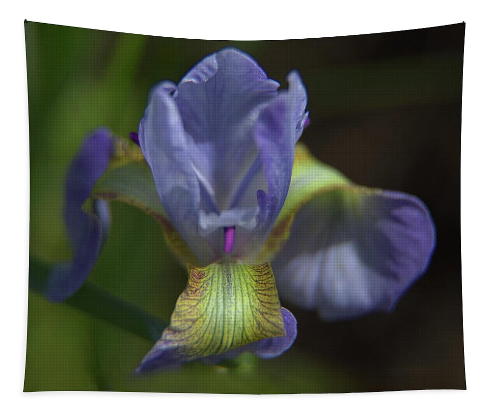 Iris Tapestry featuring the photograph Purple Iris Flower by Loyd Towe Photography