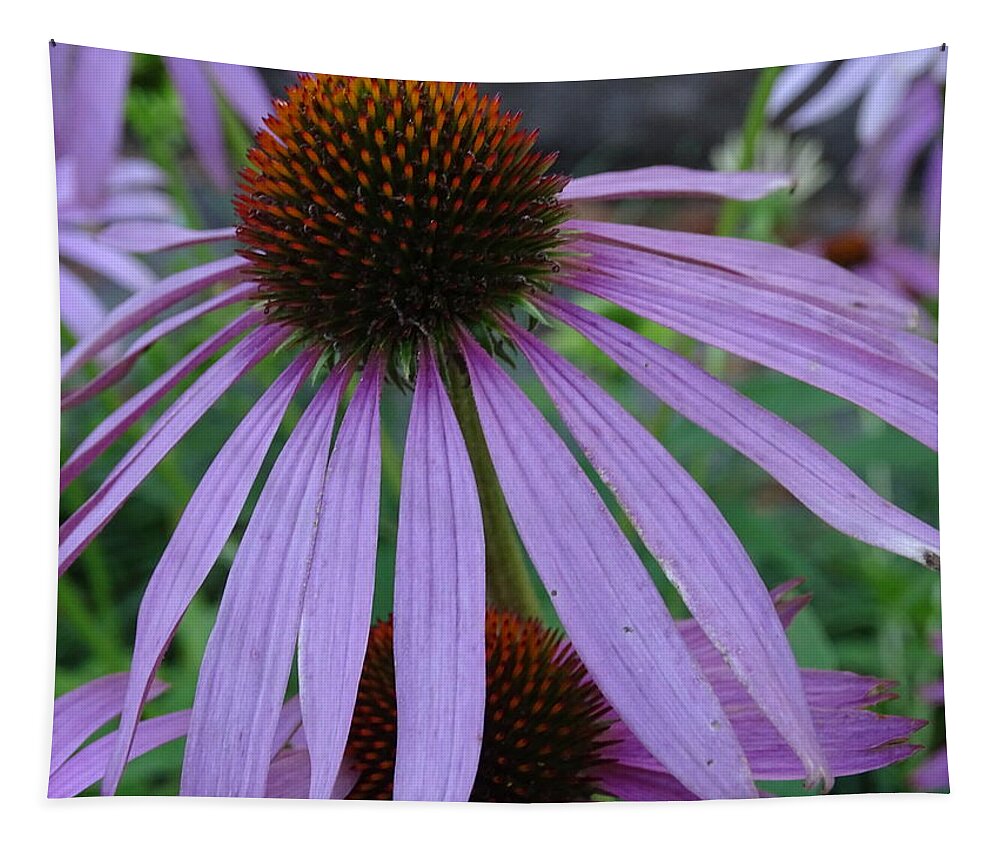 Purple Cone Flower Tapestry featuring the photograph Purple by Mary Halpin
