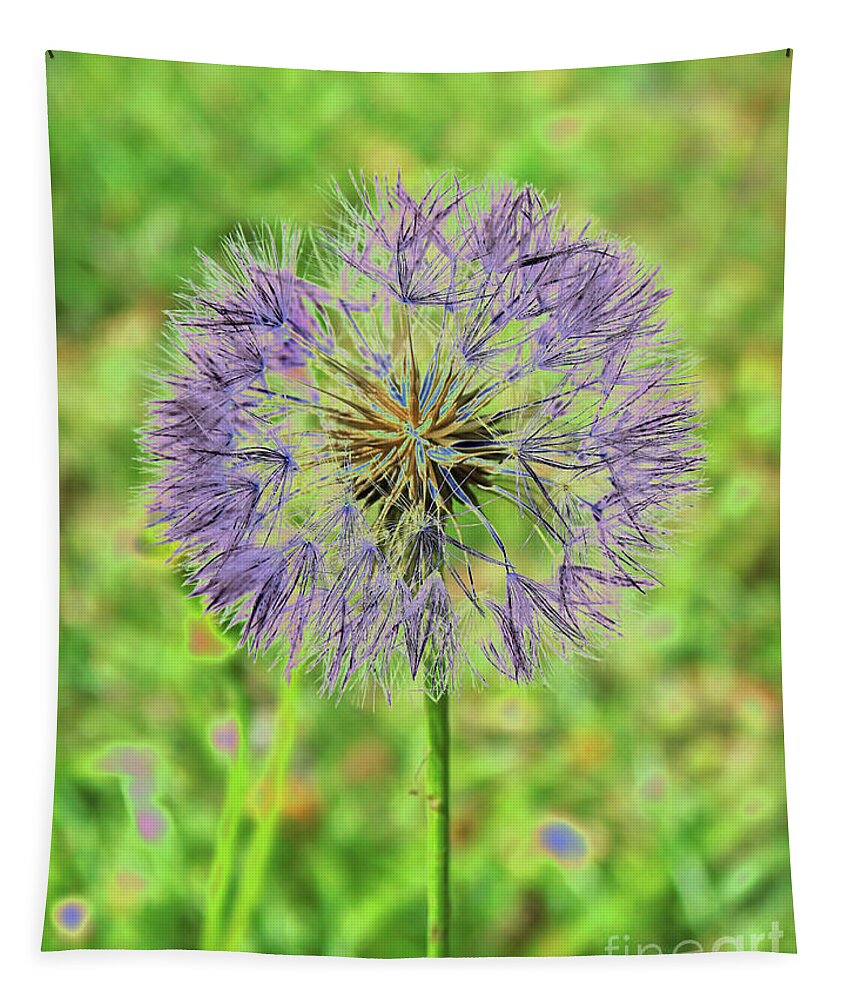 Seeds Tapestry featuring the photograph Purple Puffball by D Hackett
