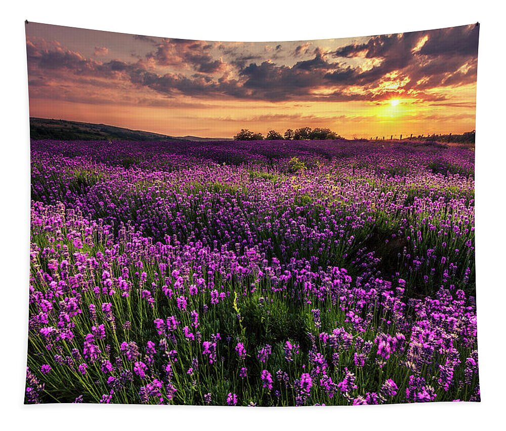 Bulgaria Tapestry featuring the photograph Purple Sea by Evgeni Dinev