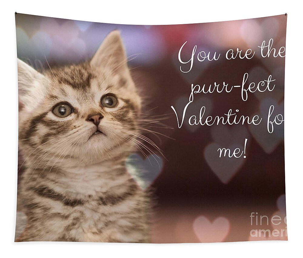 Valentine; Valentine Card; Hearts; Kitten; Cat; Bokeh; Cute; Tapestry featuring the photograph Purr-fect Valentine by Tina Uihlein