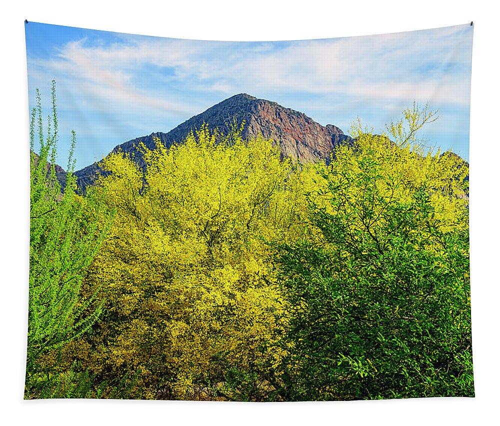 Arizona Tapestry featuring the photograph Pusch Peak Spring 25093 by Mark Myhaver