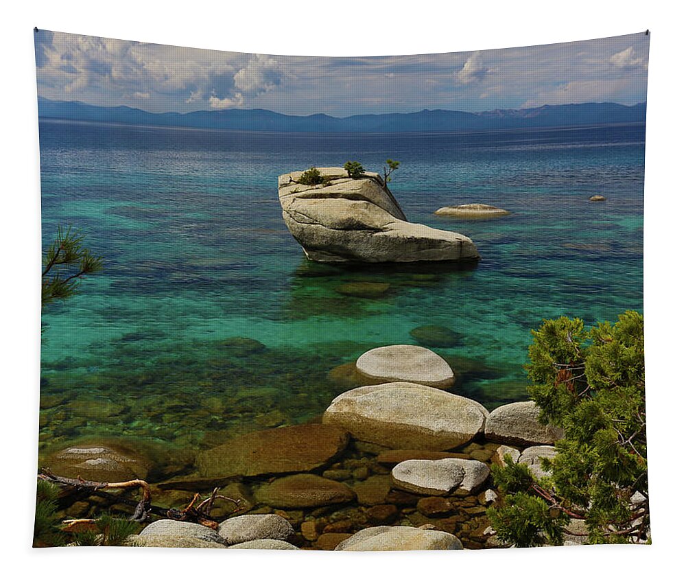  Tapestry featuring the photograph Bonsai Rock by John T Humphrey