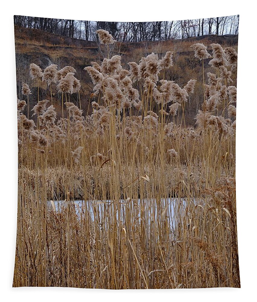 Nature Tapestry featuring the photograph Quarry Whisps And Pond by Kreddible Trout