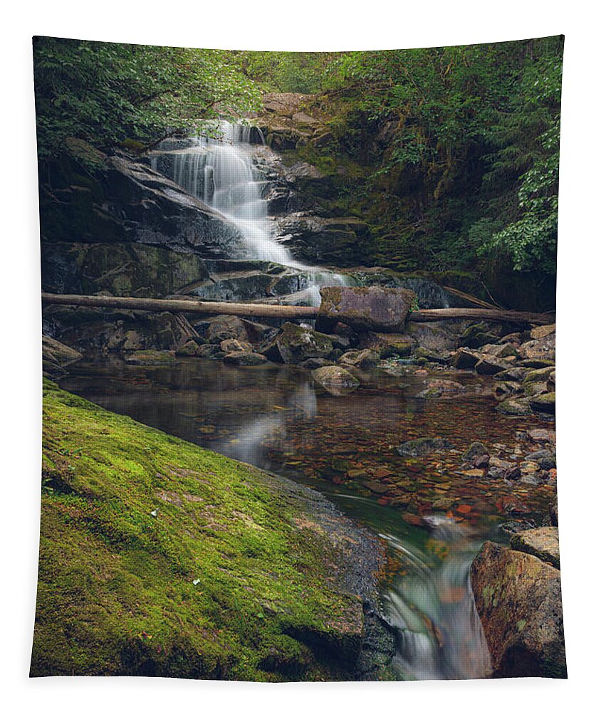 Waterfall Tapestry featuring the photograph Quiet Falls by Michael Rauwolf