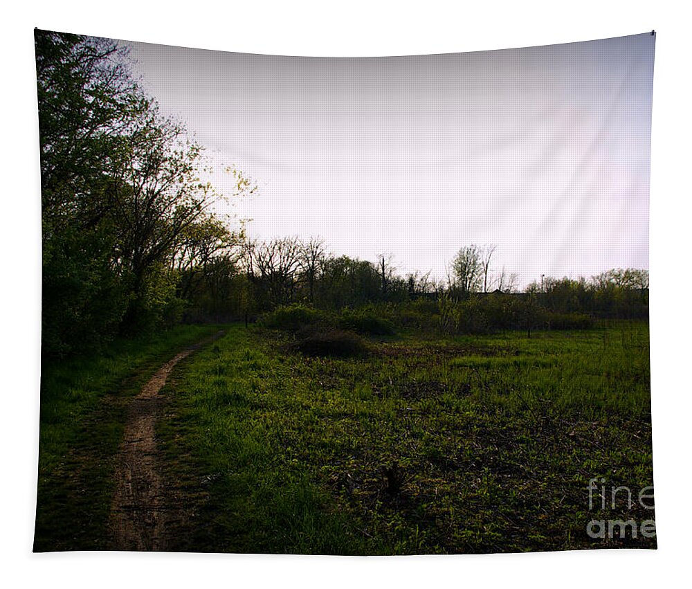 Nature Tapestry featuring the photograph Quiet Morning On The Preserve Trail by Frank J Casella
