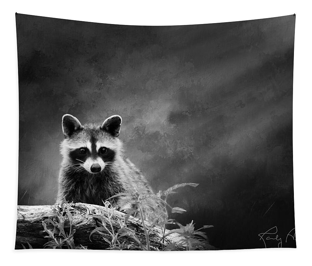 Raccoon Tapestry featuring the photograph Raccoon Posing by Randall Allen