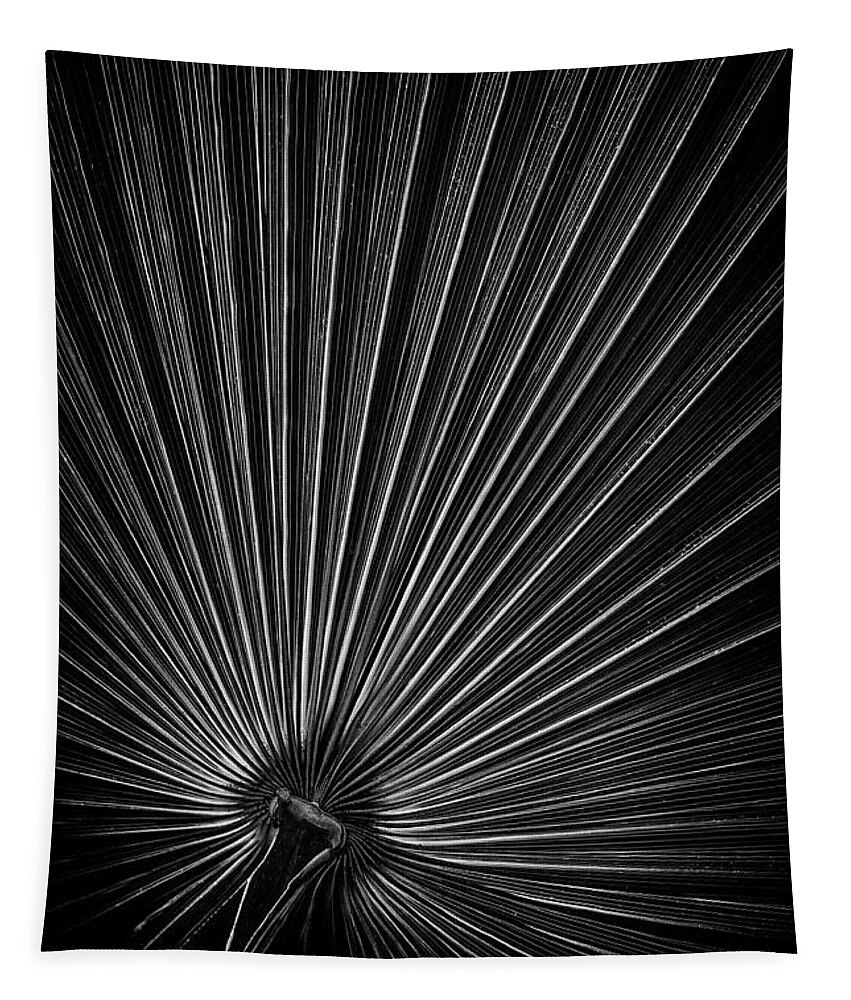Palm Tapestry featuring the photograph Radiating Lines - Vertical by Elvira Peretsman