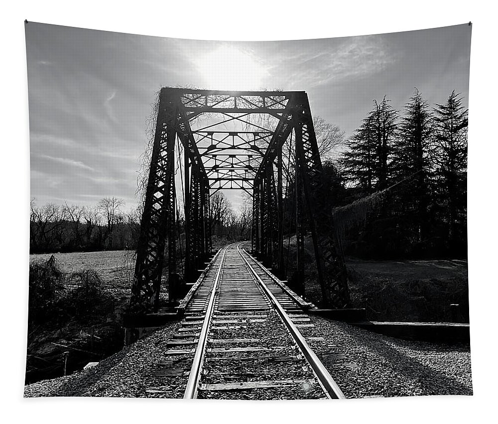 Railroad Tapestry featuring the photograph Rails Through Time by Lee Darnell