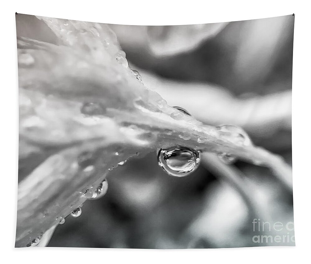 Macro Tapestry featuring the photograph Rain Drop Reflection 2 by Peggy Franz
