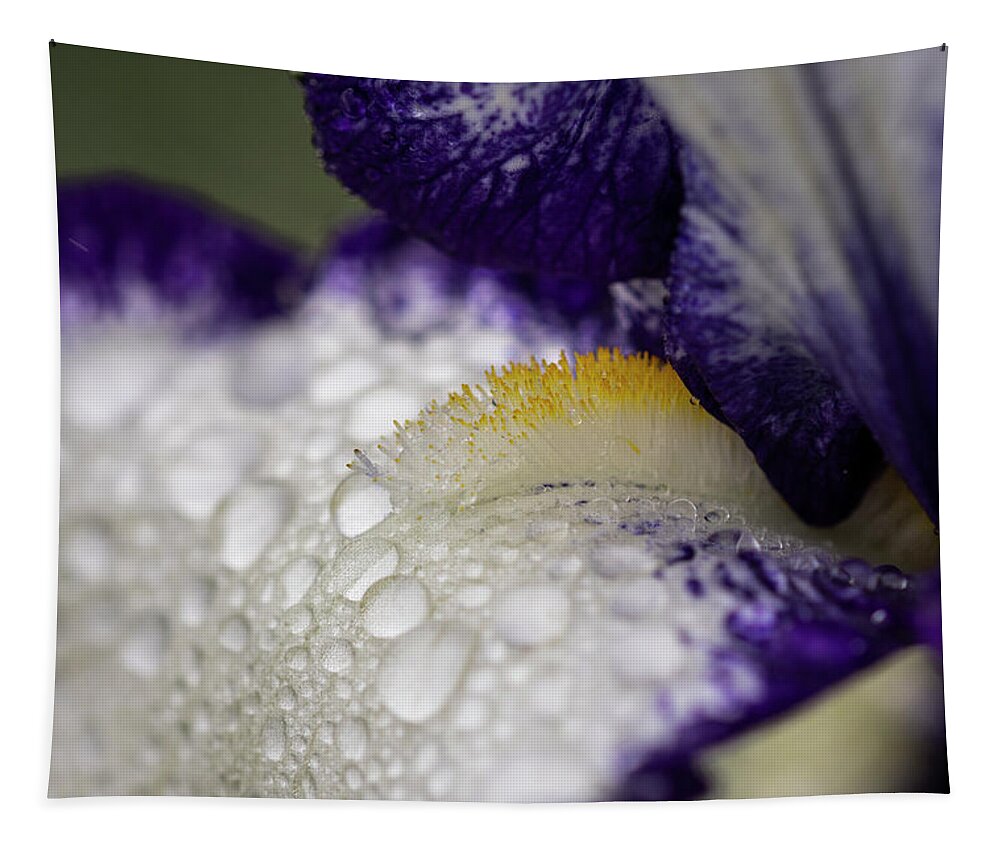 Astoria Tapestry featuring the photograph Rain in the Irises by Robert Potts