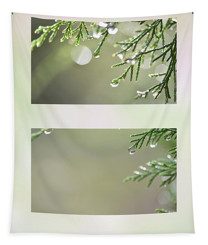 Juniperus Tapestry featuring the photograph Rain on juniper by Phil And Karen Rispin
