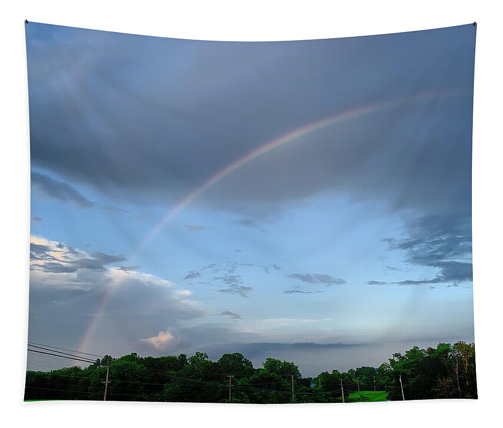 Rainbow Tapestry featuring the photograph Rainbow after the Storm by Chris Montcalmo