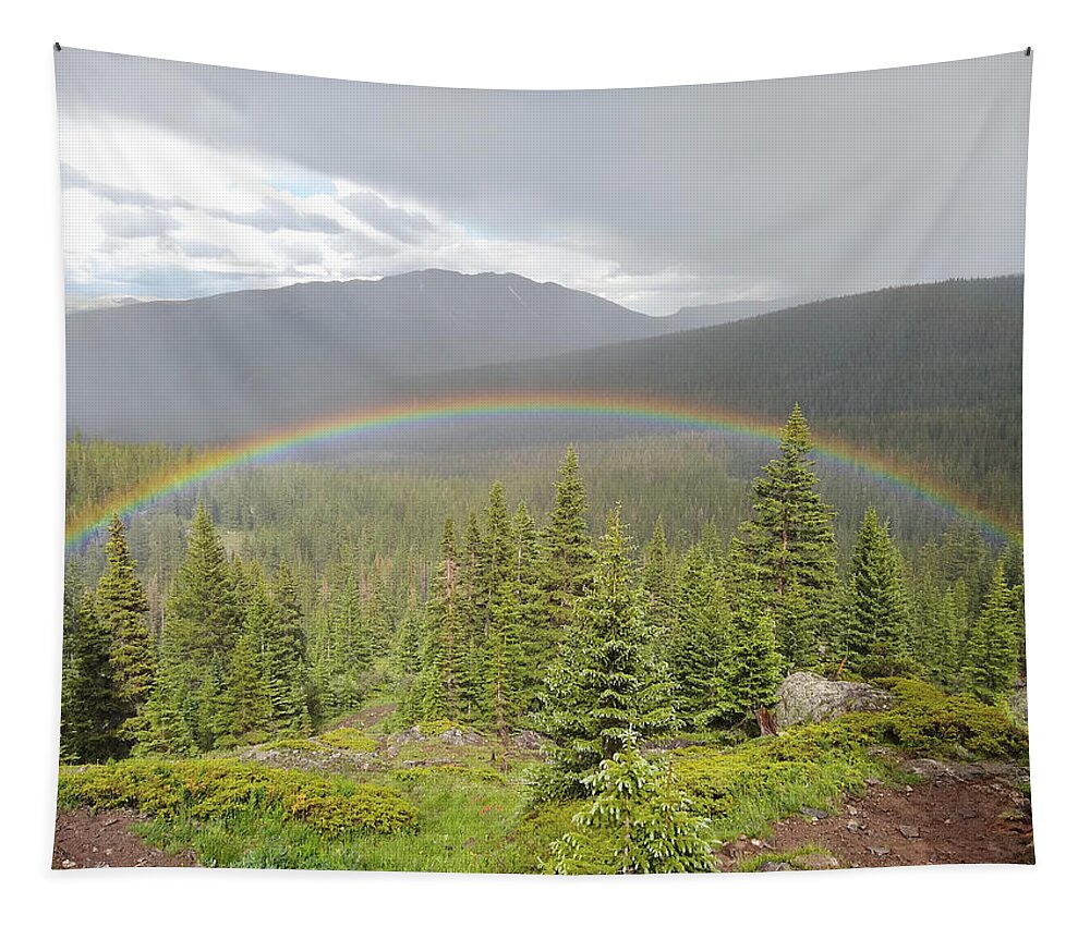 Rainbow Tapestry featuring the photograph Rainbow in the Valley by Aaron Spong