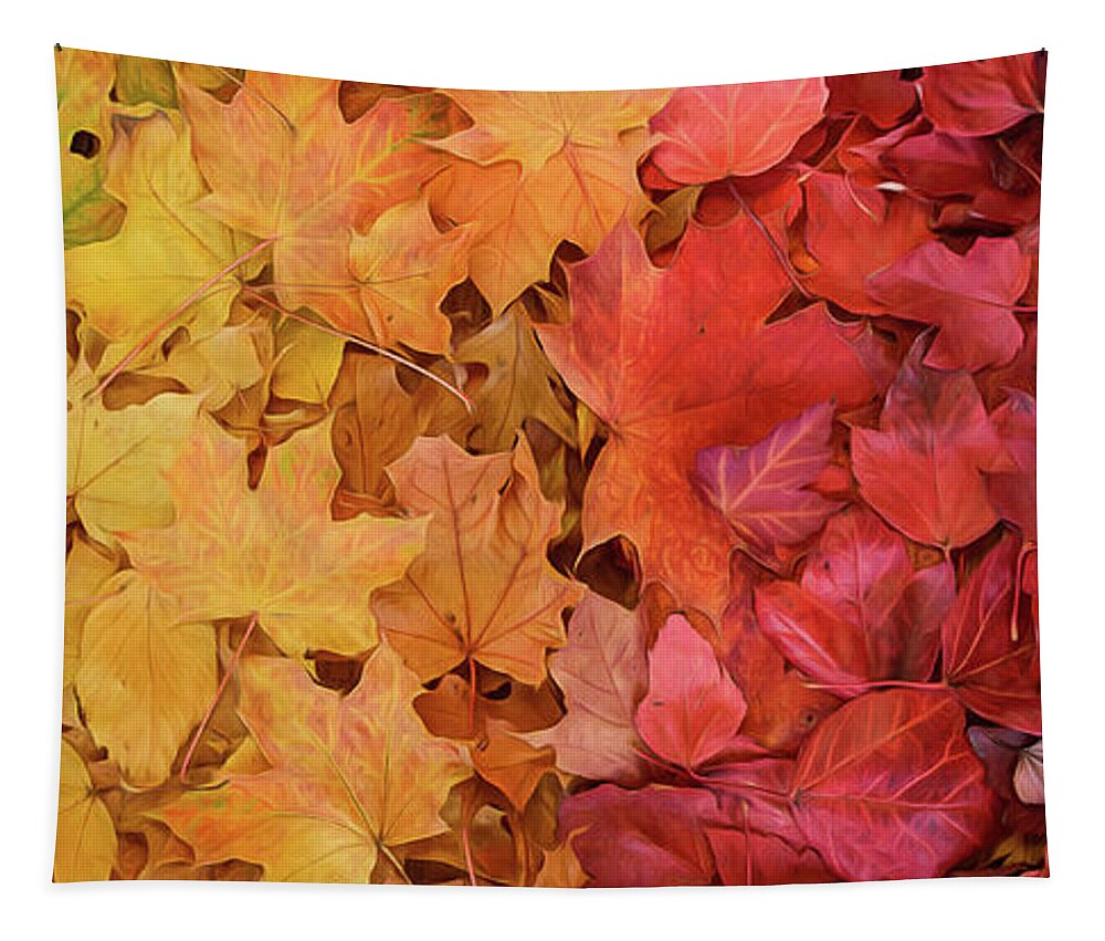 Fall Leaves Tapestry featuring the photograph Rainbow of Maple Leaves by Naomi Maya