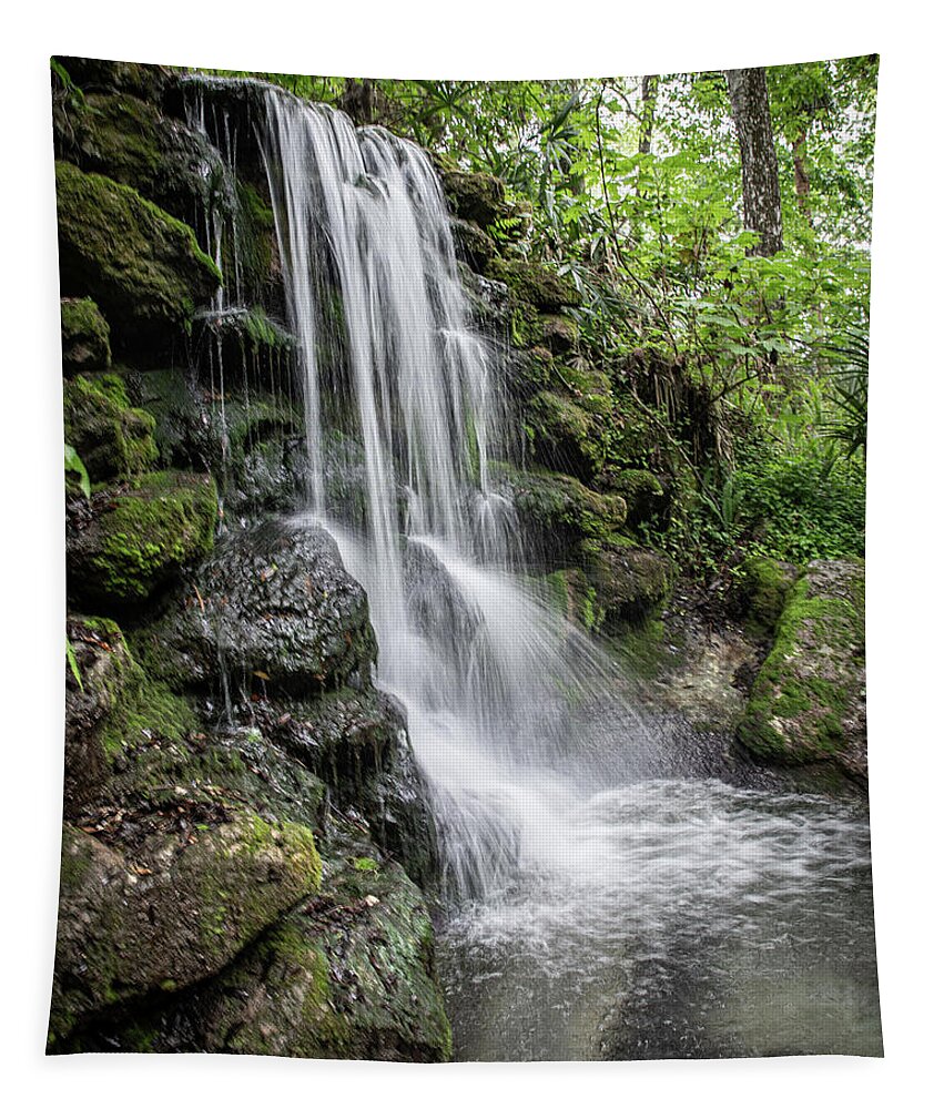 2022 Tapestry featuring the photograph Rainbow Springs by Gerri Bigler
