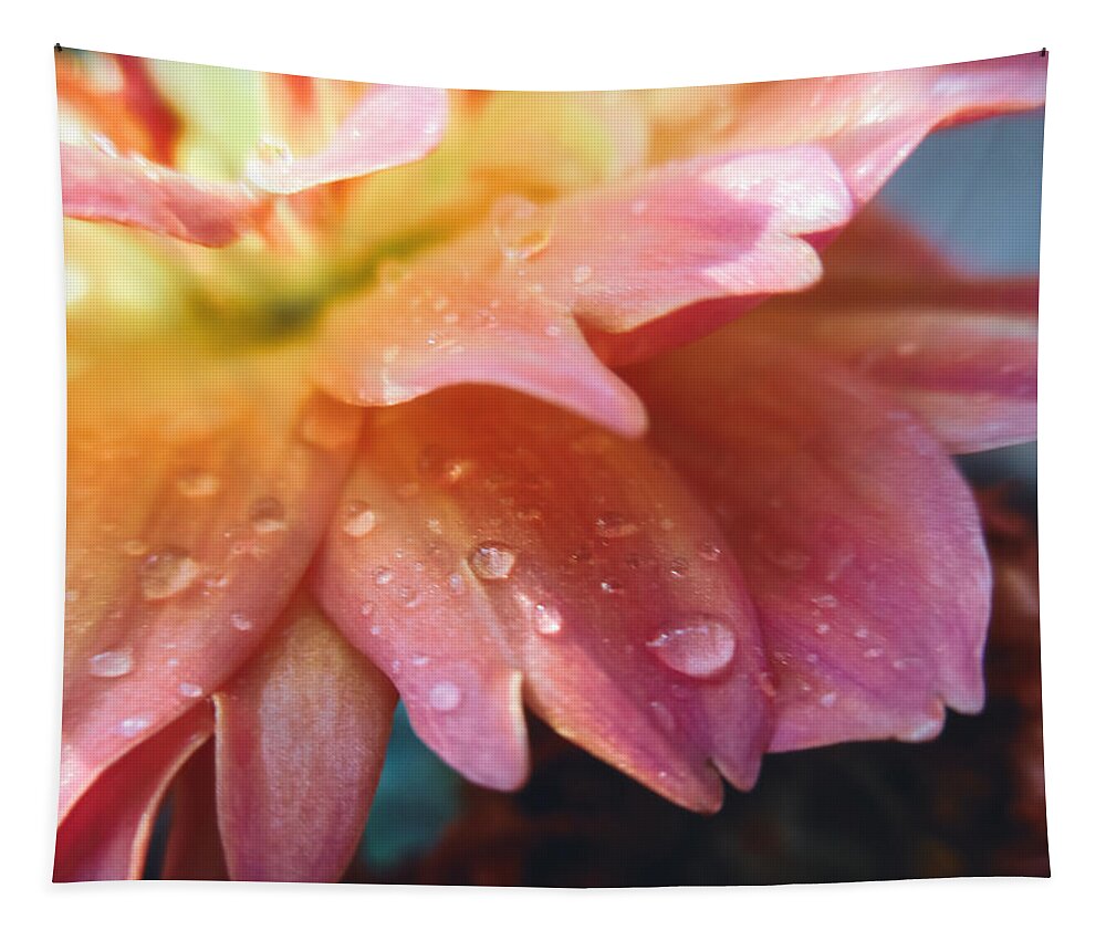 Dahlia Pinnata Tapestry featuring the photograph Raindrops and Petals by W Craig Photography
