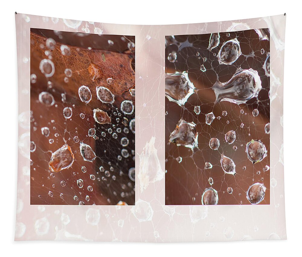 Raindrop Tapestry featuring the photograph Raindrops On Web by Karen Rispin
