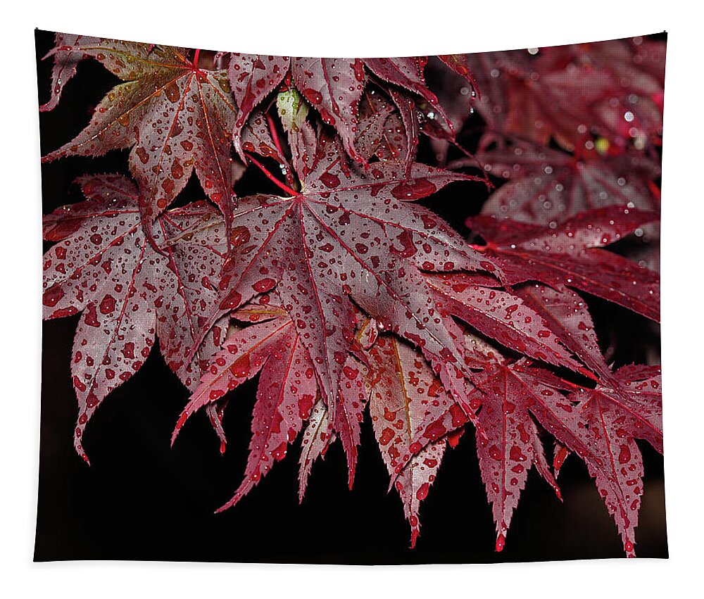 Red Maple Tapestry featuring the photograph Raindrops by William Jobes
