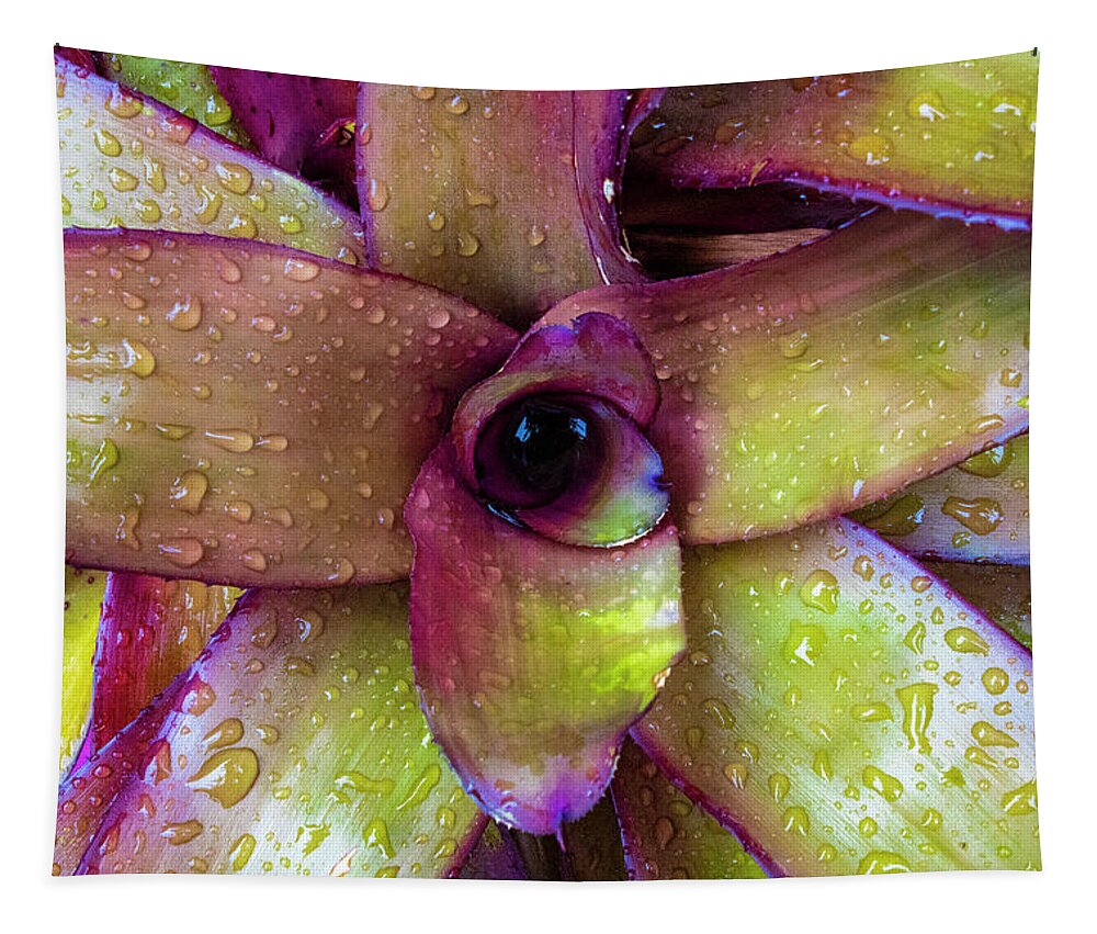 Bromeliad Tapestry featuring the photograph Rainy Day Bromeliad by Blair Damson