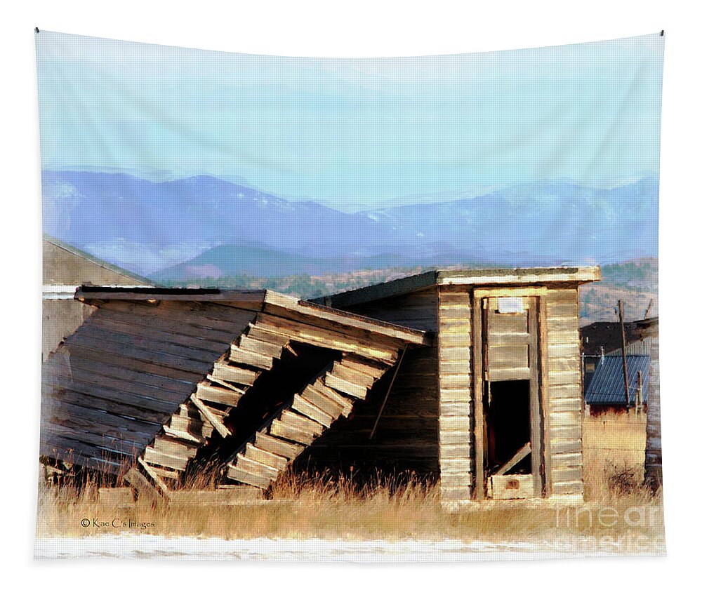 Outdoors Tapestry featuring the photograph Ramshackle and Sturdy by Kae Cheatham