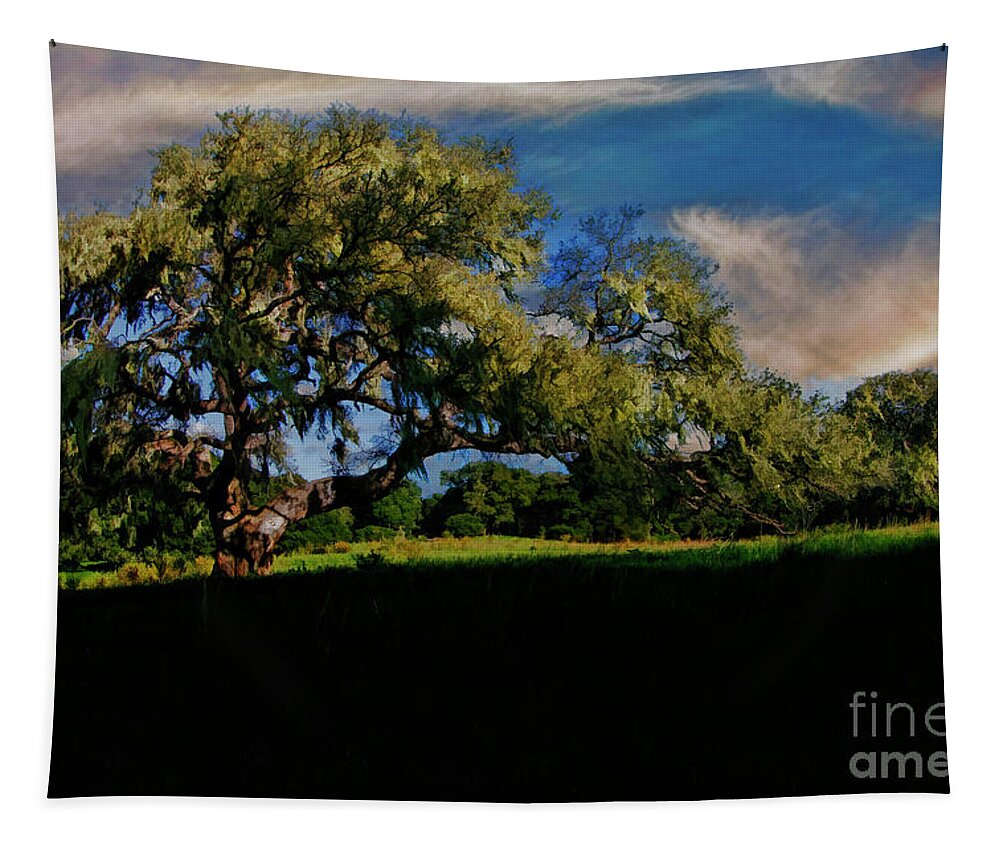  Tapestry featuring the photograph Rancho San Carlos Road Carmel Valley Tree by Blake Richards