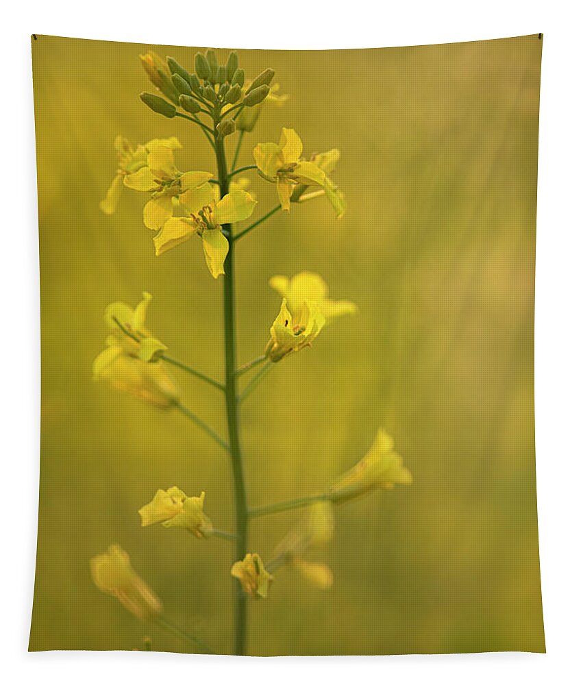 Rapeseed Tapestry featuring the photograph Rapeseed flowers by Karen Rispin