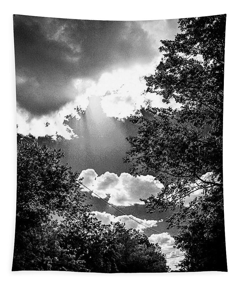 Sunshine Tapestry featuring the photograph Rays of Hope by W Craig Photography