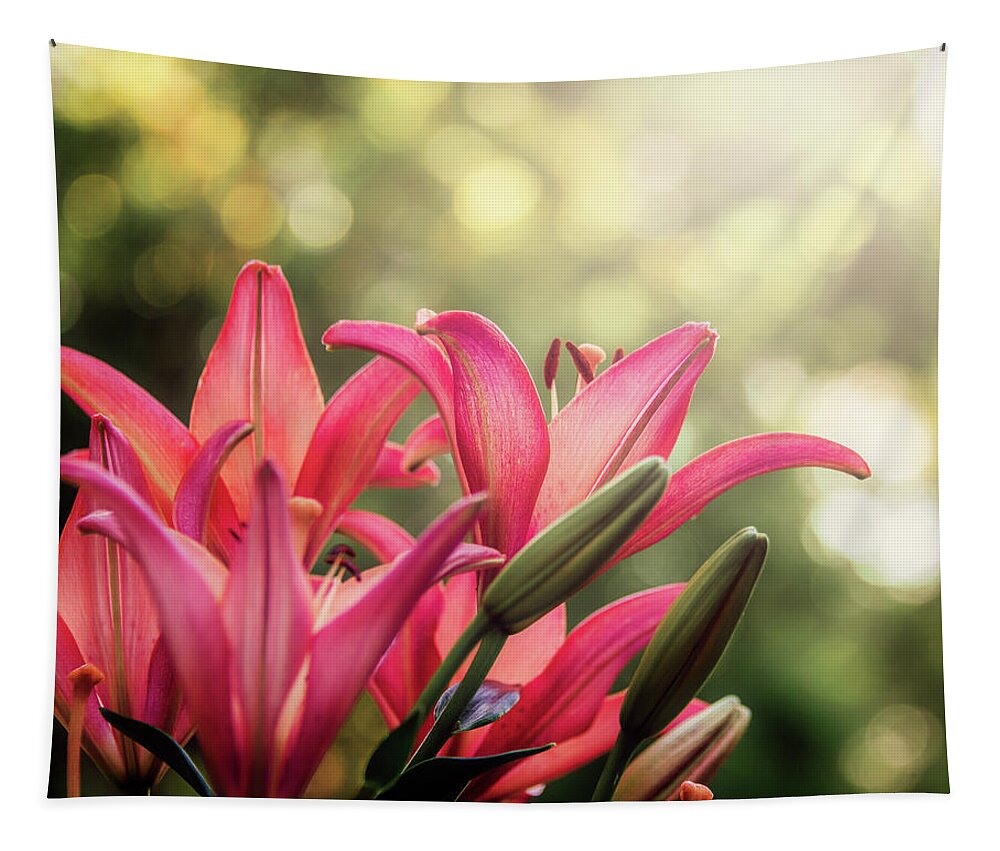 Lilies Tapestry featuring the photograph Reach by Tricia Louque