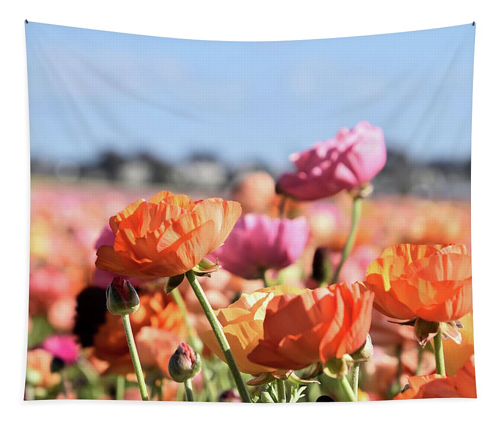 Ranunculus Tapestry featuring the photograph Reaching for the Sky by Christina McGoran