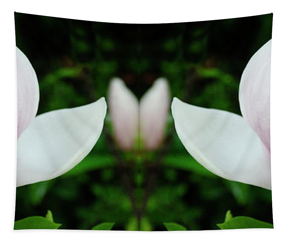 Magnolia Tapestry featuring the photograph Reaching Out by Bob Christopher