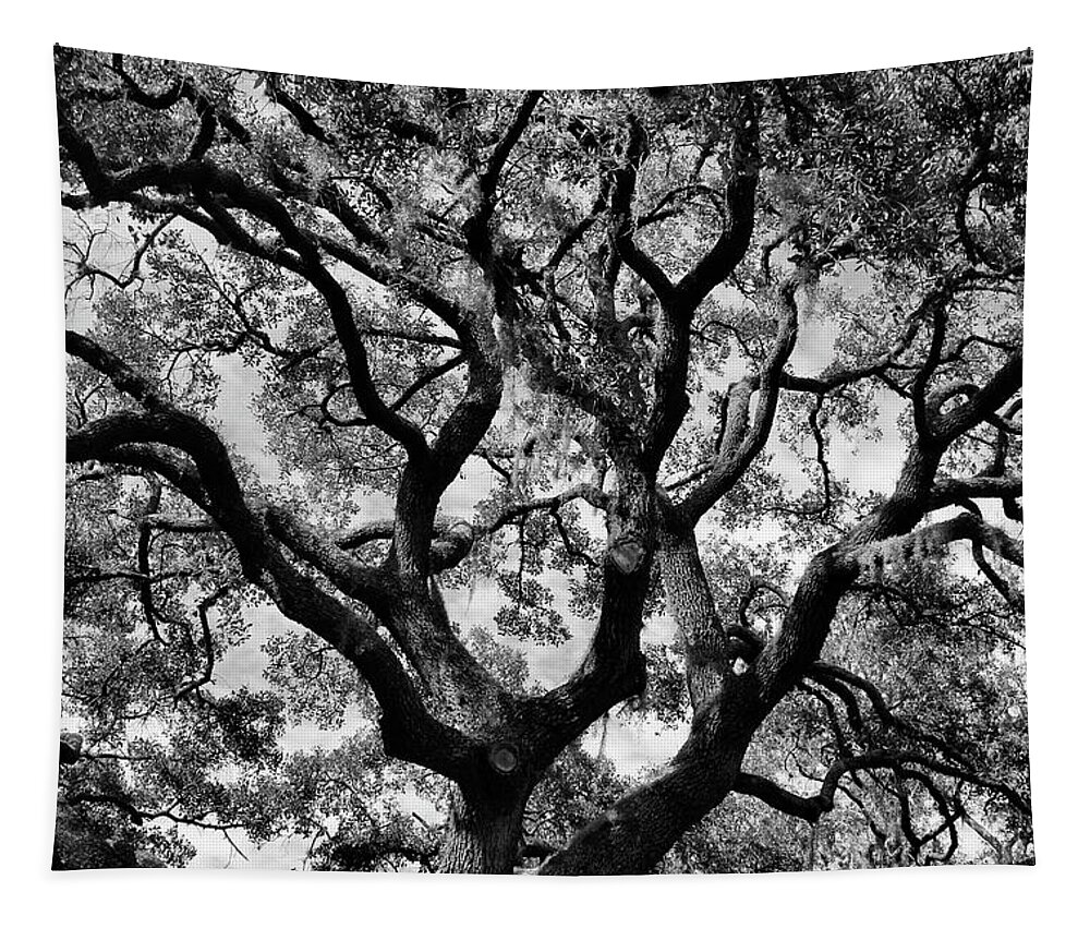 Photo For Sale Tapestry featuring the photograph Reaching Out by Robert Wilder Jr