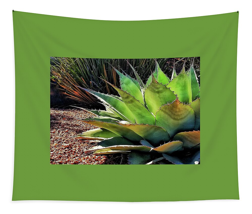 Agave Tapestry featuring the photograph Reaching by Terry Ann Morris