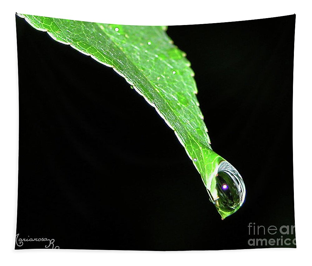 Nature Tapestry featuring the photograph Ready to Drop by Mariarosa Rockefeller