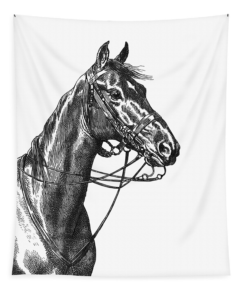 Horse Tapestry featuring the digital art Ready To Ride by Madame Memento