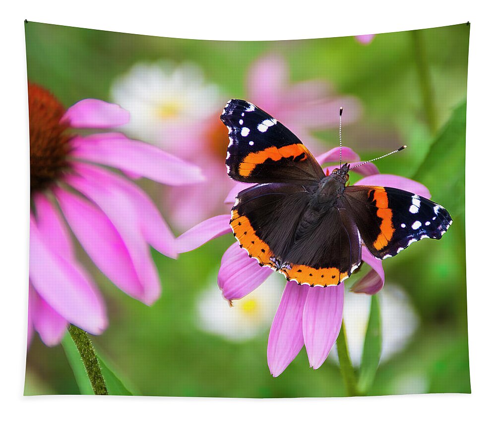 Coneflower Tapestry featuring the photograph Red Admiral Butterfly by Patti Deters