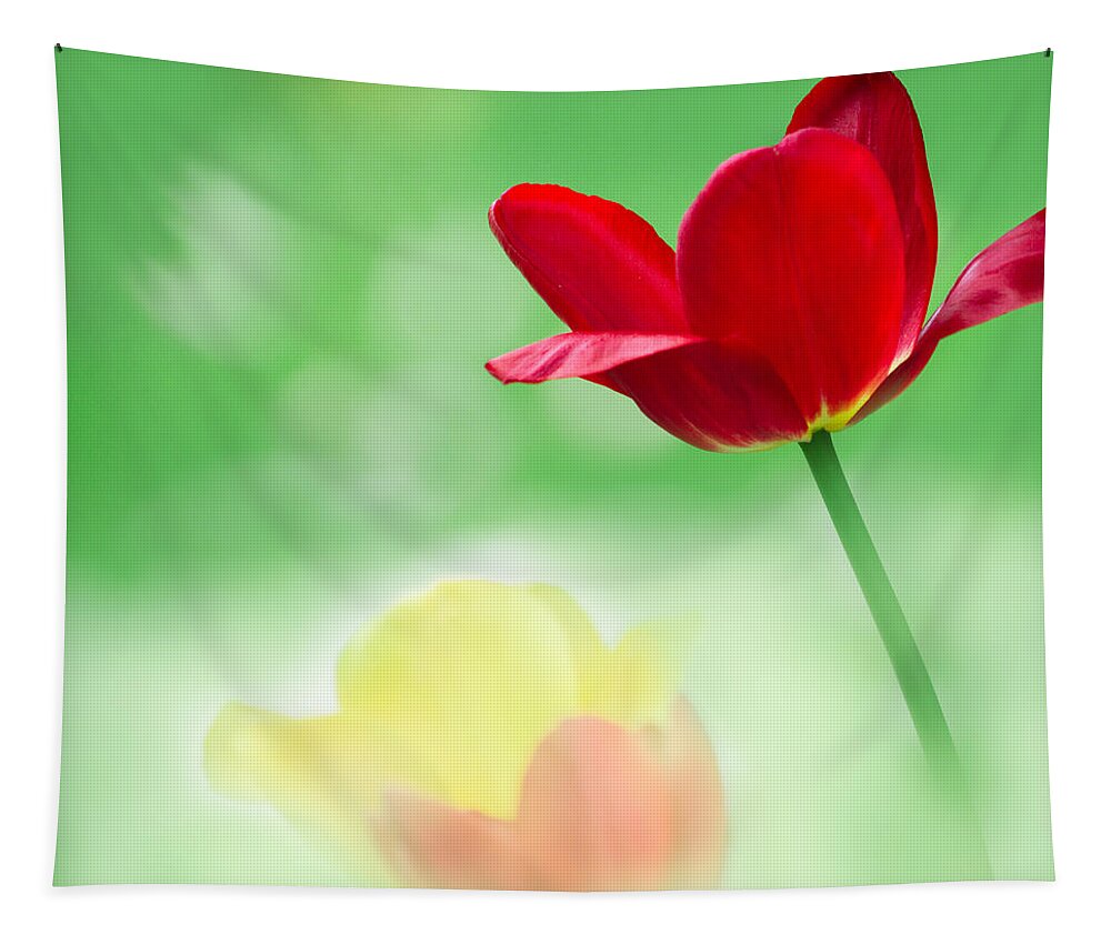 Art Tapestry featuring the photograph Red and Yellow Tulips by Joan Han