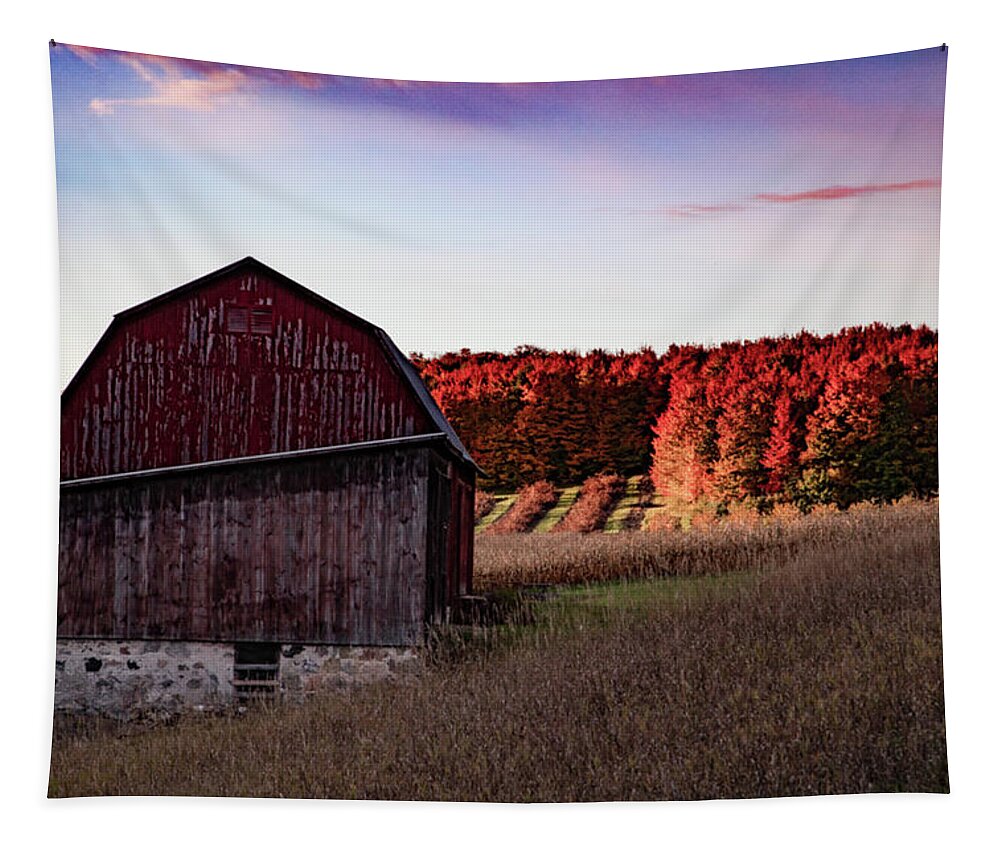 Michigan Fall Tapestry featuring the photograph Red barn at sunrise with fall colors in northern Michigan by Eldon McGraw