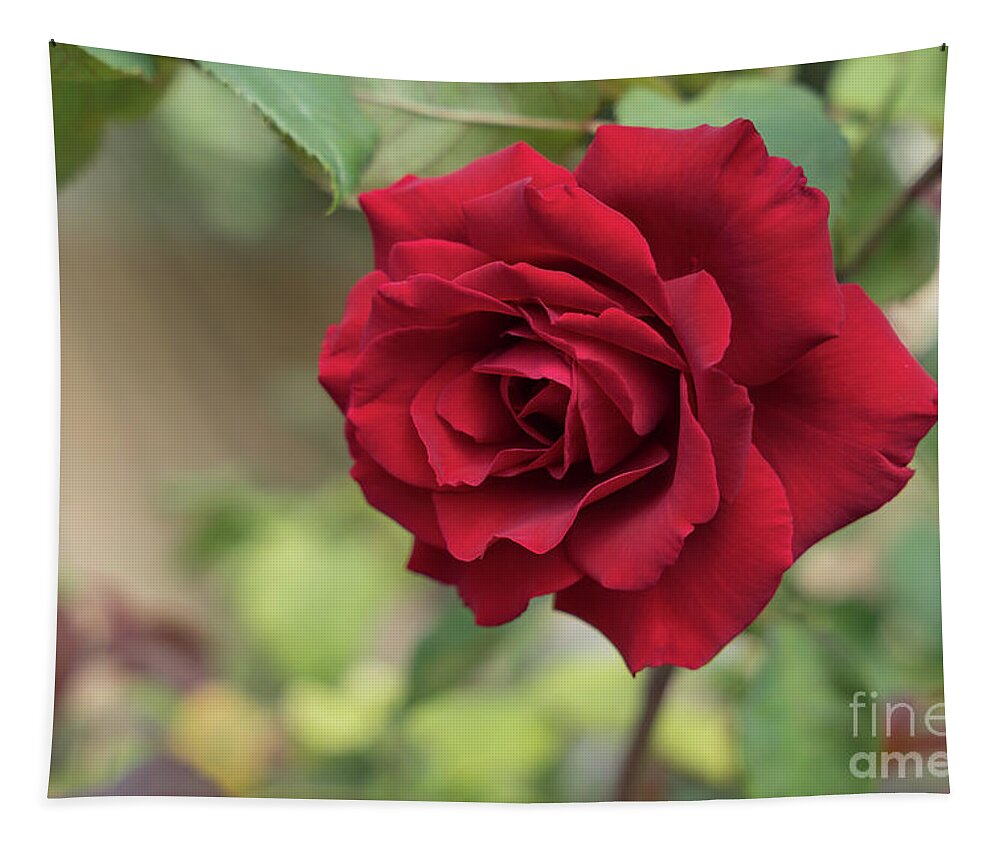 Red Rose Tapestry featuring the photograph Red beauty in the garden by Adriana Mueller