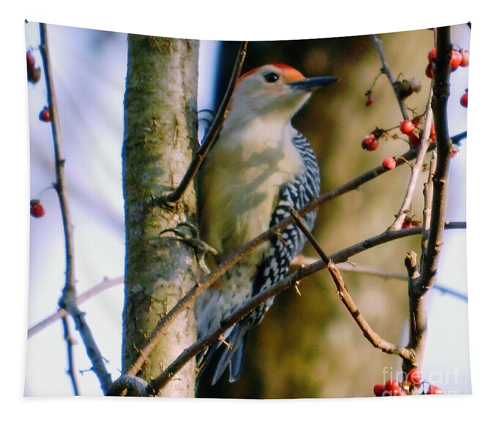 Red-bellied Woodpecker Tapestry featuring the photograph Red-Bellied Woodpecker with Berries by Sea Change Vibes