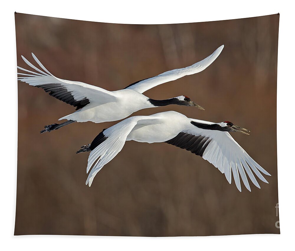Crane Tapestry featuring the photograph Red-crowned Crane in Flight 3 by Natural Focal Point Photography