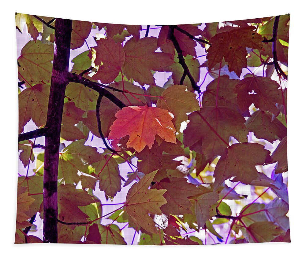Memphis Tapestry featuring the digital art Red Leaves On Purple by David Desautel
